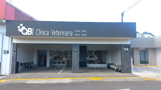 Alianza veterinaria para perros Moka